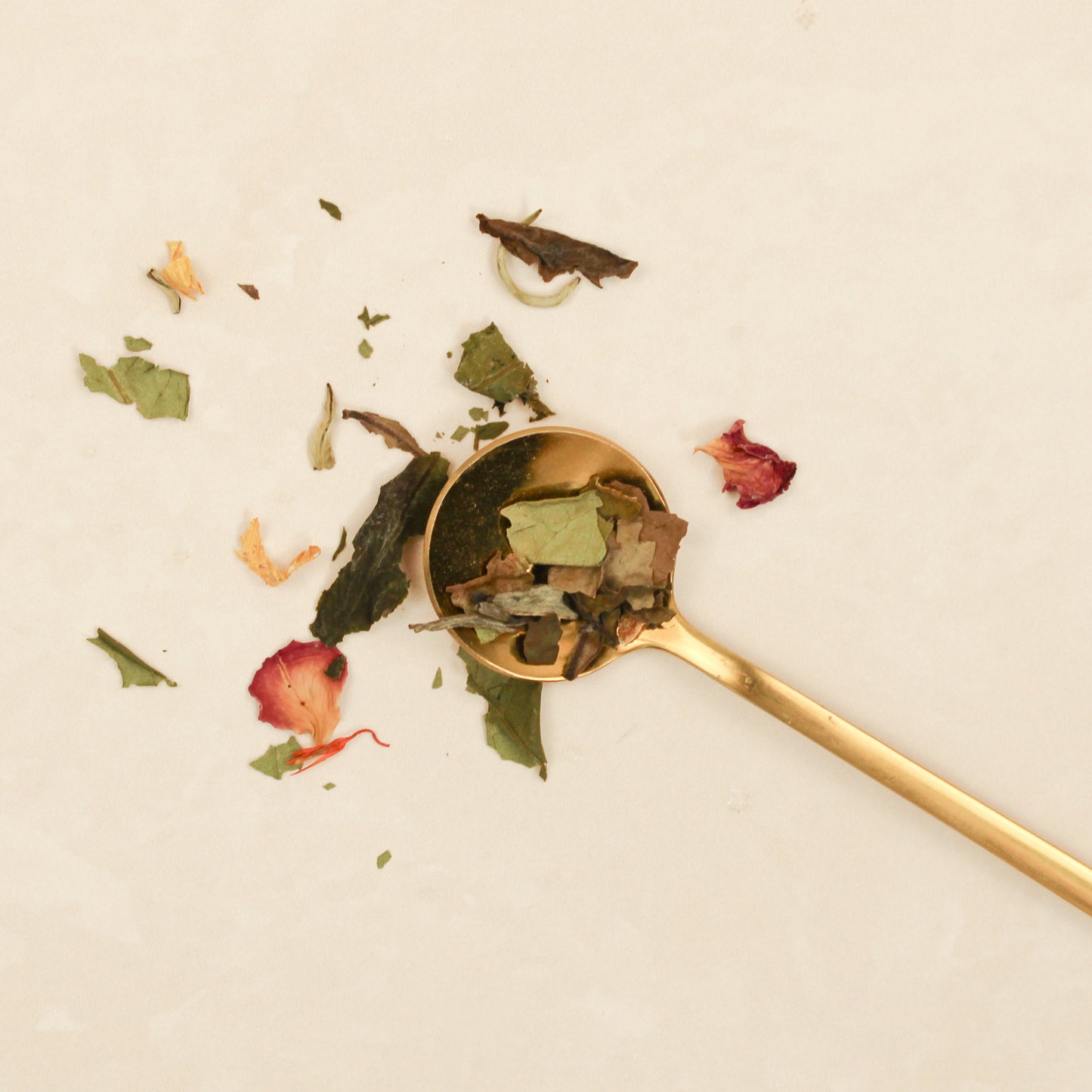 Pai Mu Tan Stockholm Tea