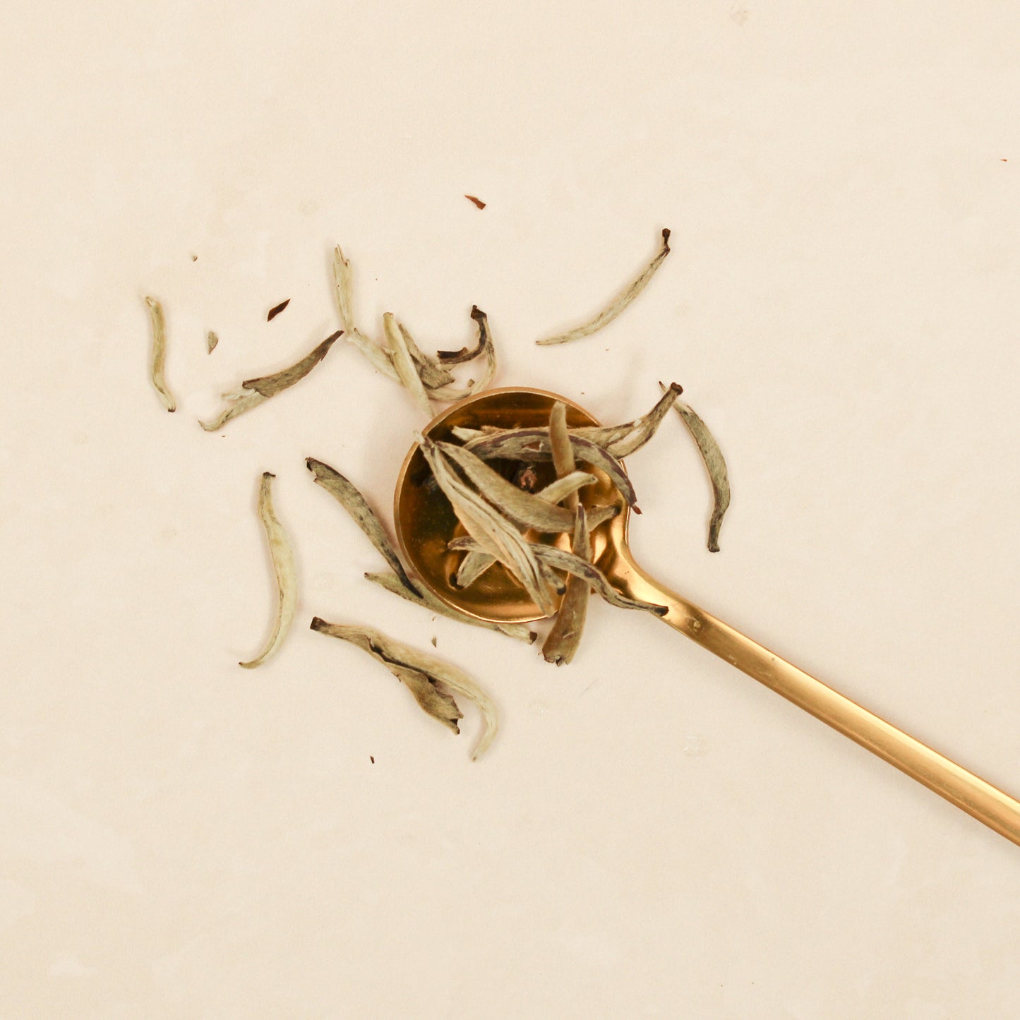 Silver Needles Yin Zhen Tea