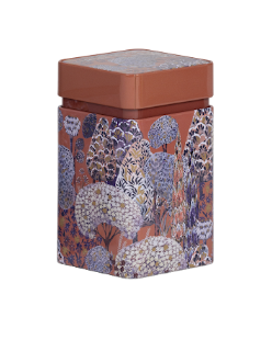 Patagonia 250g Tin - Brown